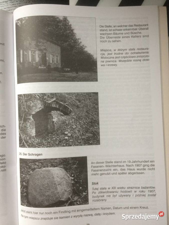 3719 Dolina Miłości Dawniej I Dziś Szczecin