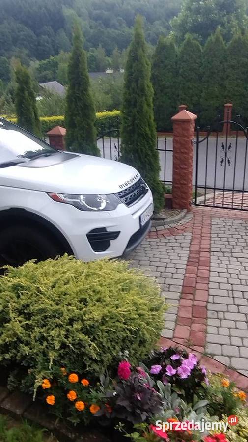 Land Rover Discovery Sport 4x4 podkarpackie Jasło sprzedam