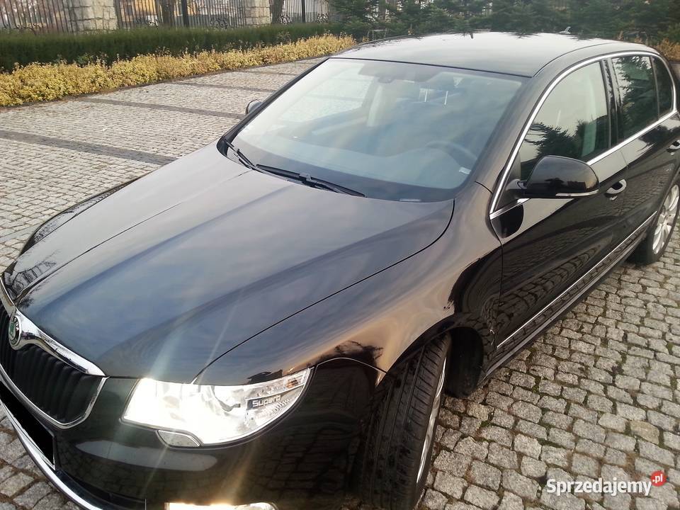 Skoda Superb Platinum 20 TDI salon Polska Superb Włocławek