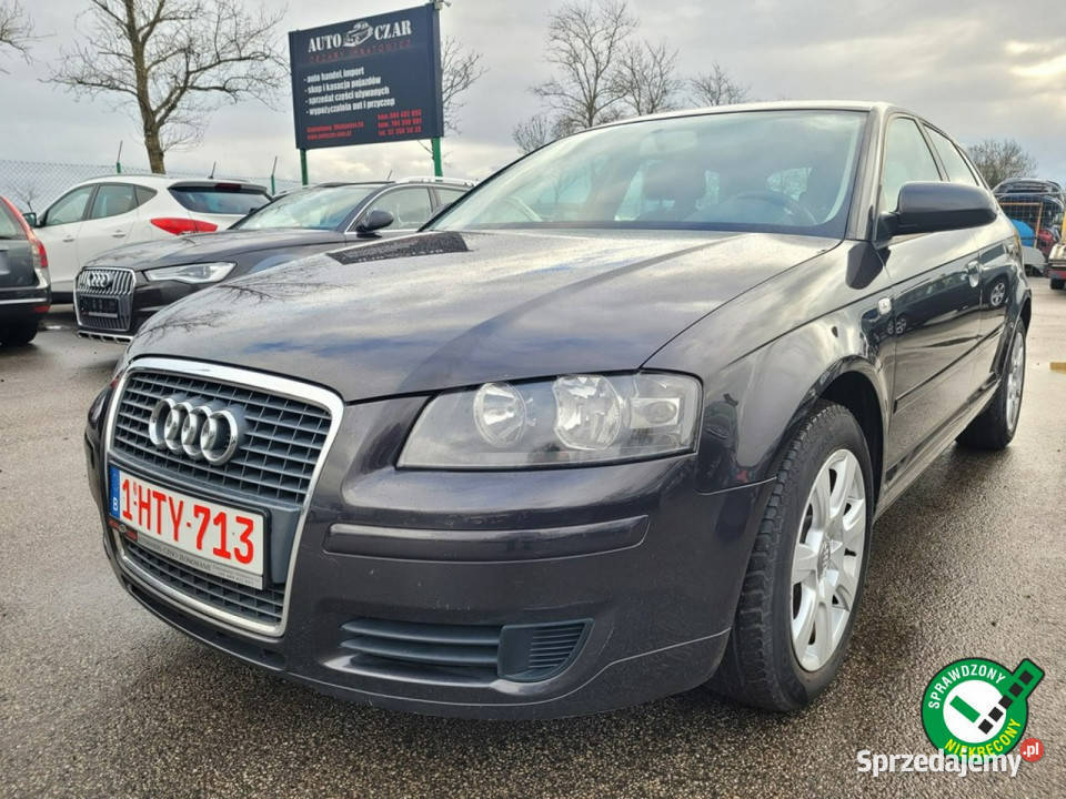 Audi A3 19TDI 105 Zarejestrowana w 8P 20032012 kujawsko-pomorskie Gniewkowo