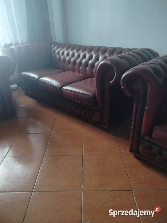 Chesterfield angielski Biała Podlaska