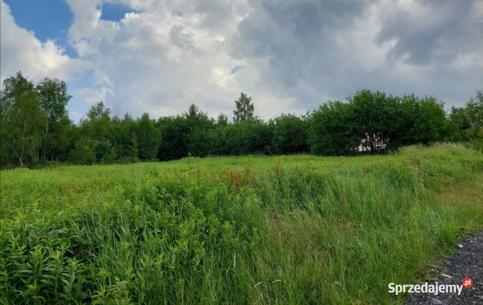 Rożnów działka budowlana inwestycyjna Jezioro