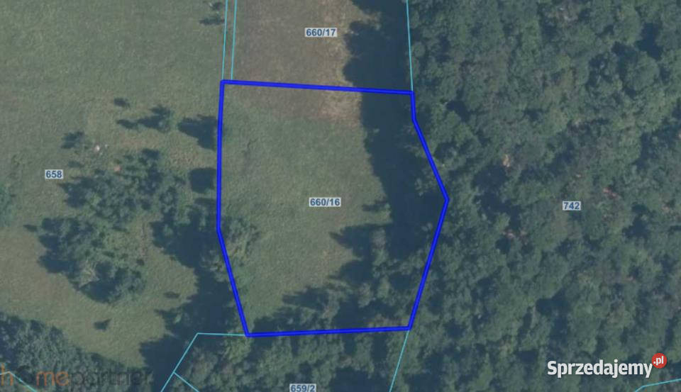 Grunt sprzedam 9600m2 Walim Adama Mickiewicza