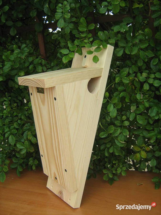 Budka pełzacz Sławno