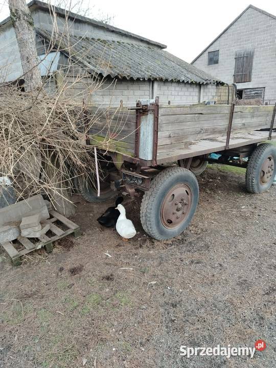 przyczepa sztywna Kościelec