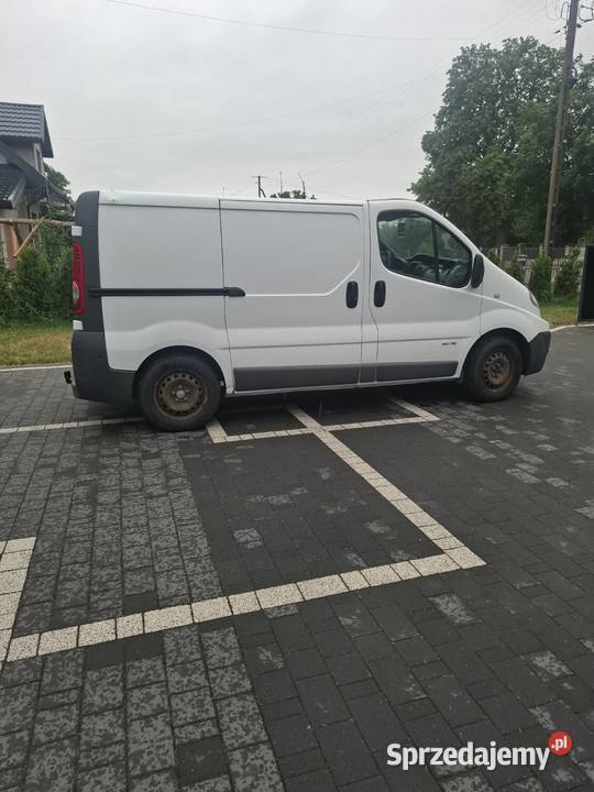 Renualt lubelskie Białopole