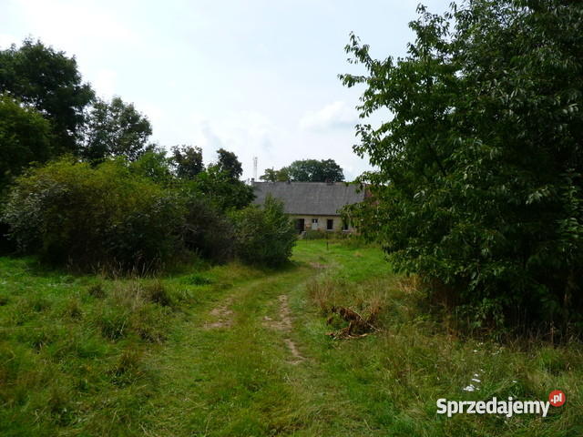 Gospodarstwo rolne zabudowania pole 598 h Grunty i działki dolnośląskie Tymowa