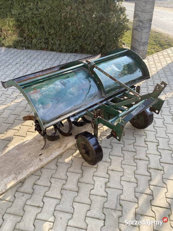 Glebogryzka Grudziądzka Lusławice