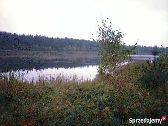 PROMOCYJNA Piekne działki rekreacja na Jurze Grunty i działki