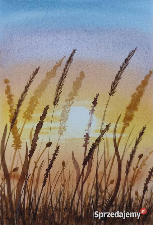 Oryginalna Akwarela Łąka 3 Unikat Sygnowany Poznań
