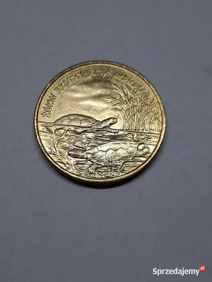 MONETA Polska 2 złote 2002 Żółw błotny 003 Warszawa