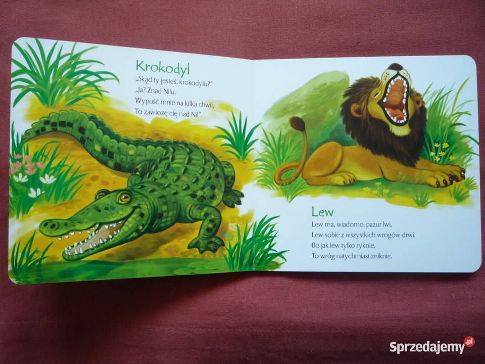 Brzechwa ZOO książeczka dzieci sztywnostronicowa zachodniopomorskie Szczecin