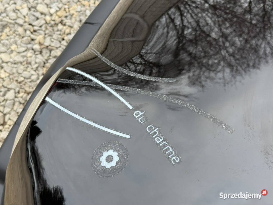 Renault Twingo wspomaganie kierownicy Częstochowa