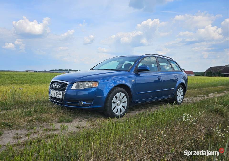 Audi A4 B7 20 TDI Swarzynice