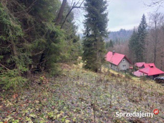 Syndyk Sprzeda udział 12 działka I Przetarg Sprzedaż śląskie Jaworzynka