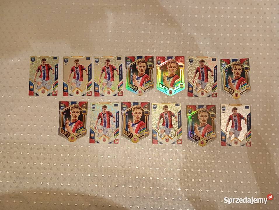 Karty piłkarskie kolekcjonerskie Panini FIFA 365 sprzedam