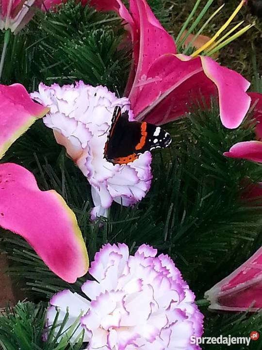 Wieńce i Stroiki Sprzątanie