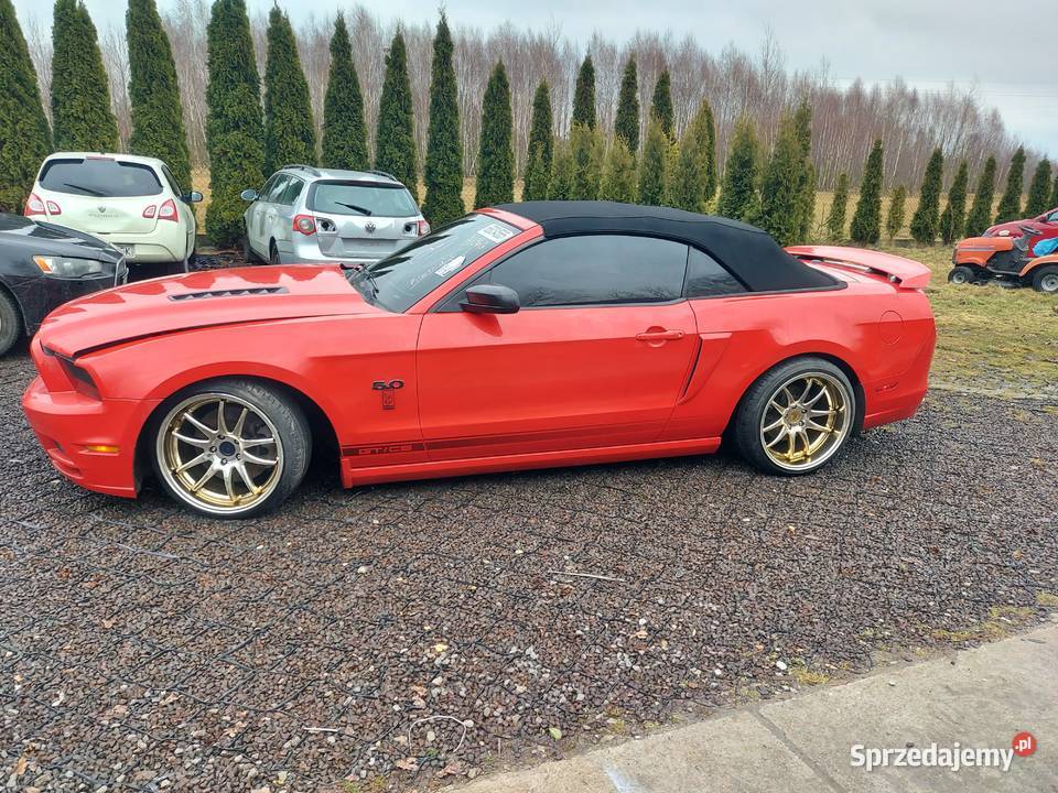 Mustang Gt California Special Convertible 2014r Rososza
