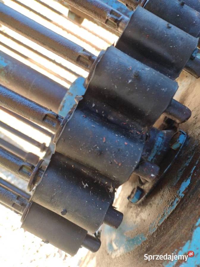 Kopaczka elewatorowa do ziemniaków Wodzisław sprzedam