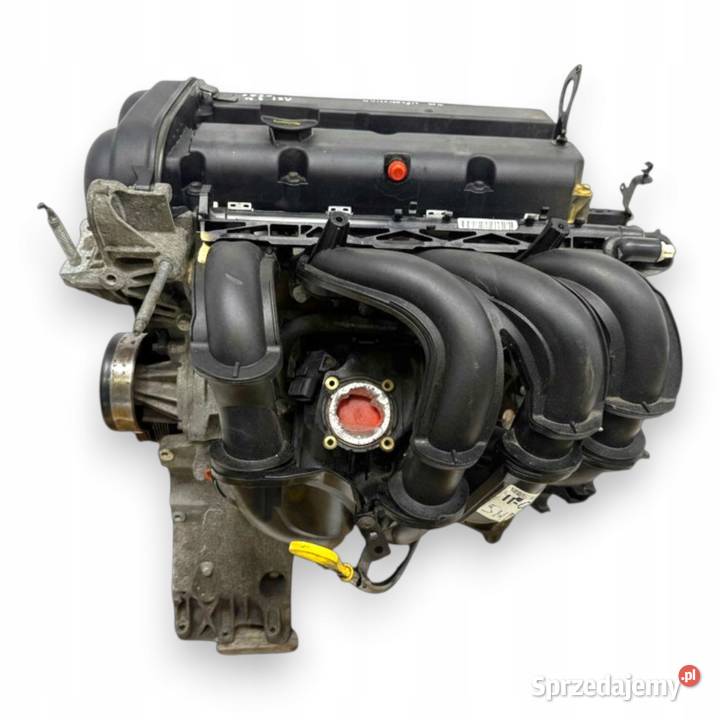 SILNIK SHDA Ford Focus II MK2 C C 16 16V 100 Chełm sprzedam