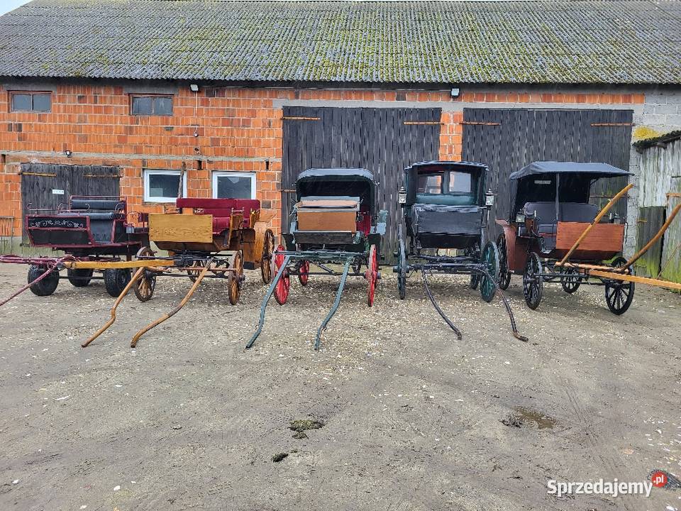 Bryczki Turek sprzedam