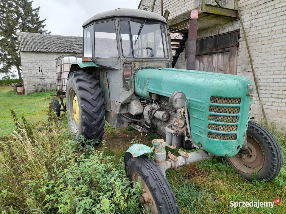 Ursus nieuszkodzony Pęczerzyno