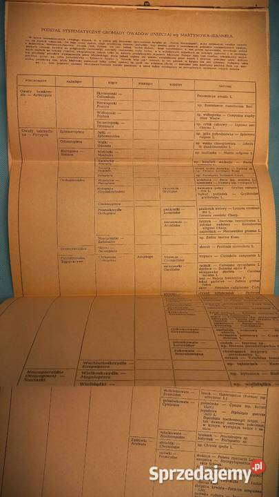 Doktor Muchołapski fantastyczne przygody w Łomianki