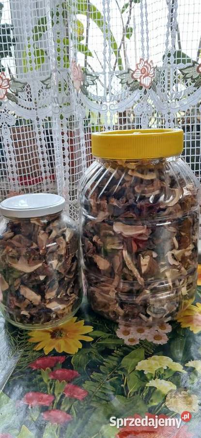 Sprzedam tegoroczne suszone grzyby
