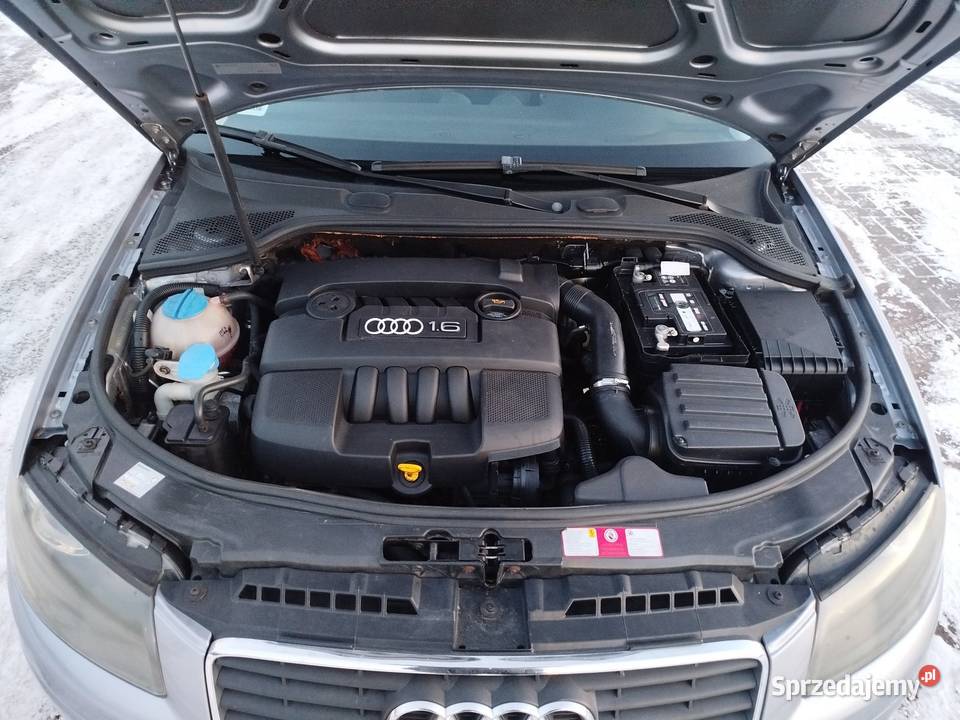 A3 8p 16 Benzyna 2005 Pierwszy właściciel w lubelskie Świdnik