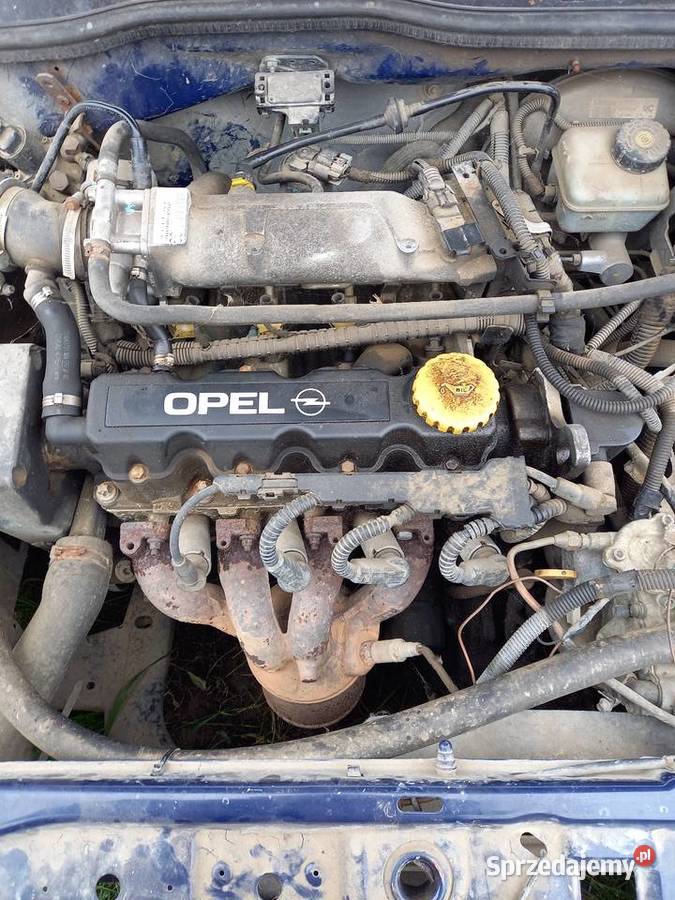 Opel Astra II 16 8v silnki Małkinia Górna