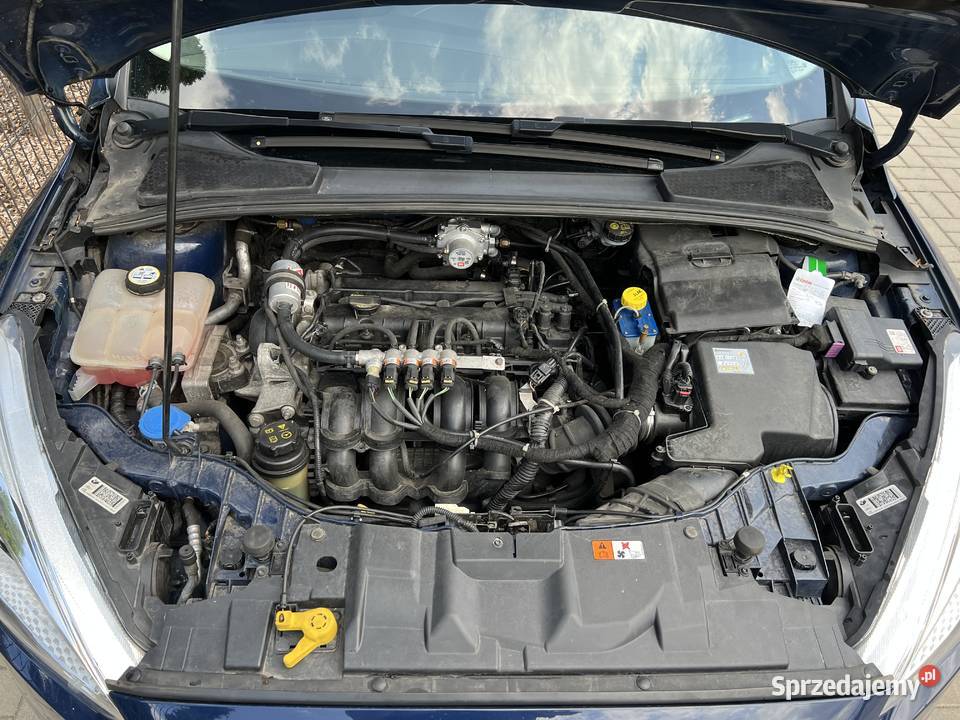 Ford Focus 16TiVCT Polski Salon Bez wkłady LPG kupiony w polskim salonie Wrocław