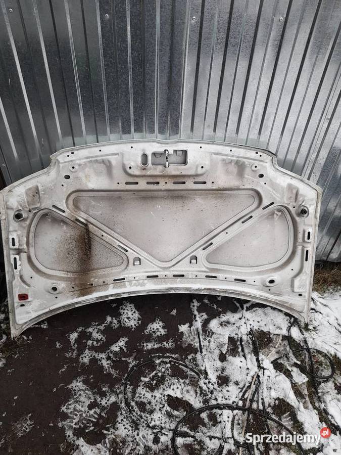 PANDA IIPANDA MASKA Jastrzębia Góra