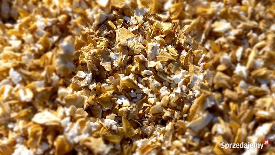 JĘCZMIEŃ GNIECIONY karma drobiu gołębi gryzoni warmińsko-mazurskie