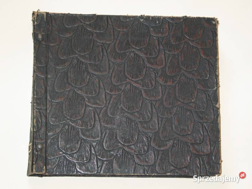 Płyty w Etui szelakowe 8 zagraniczne Gliwice