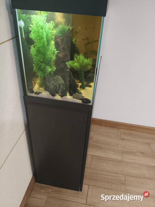Zestaw akwarium Aquael OptiSet 125 z całym Ryby Lipno sprzedam