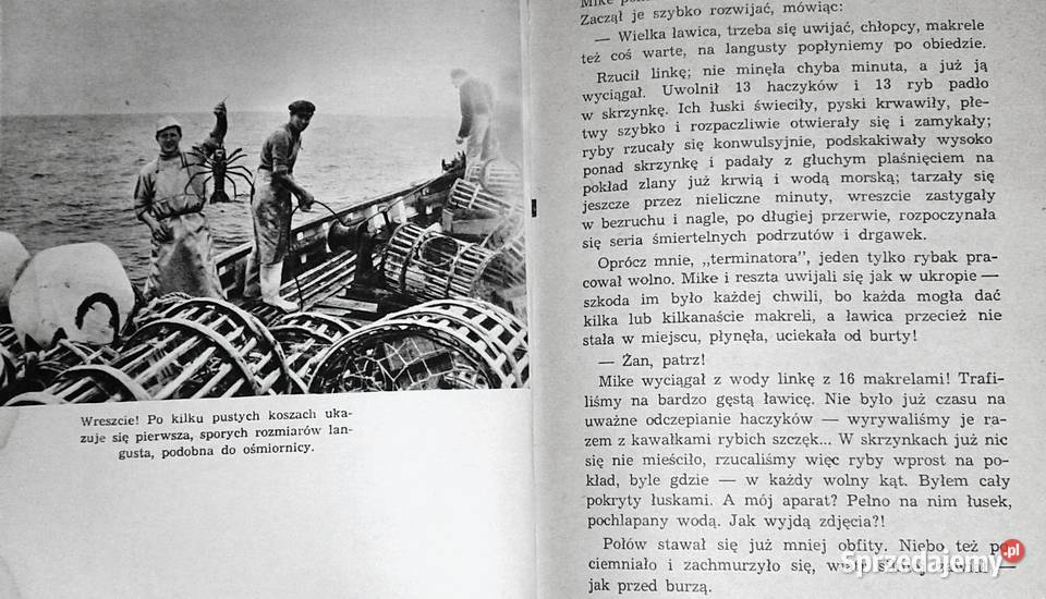 Wyspa Celtów Jan Gitlin Rok wydania 1961 Kultura i Rozrywka Chełm