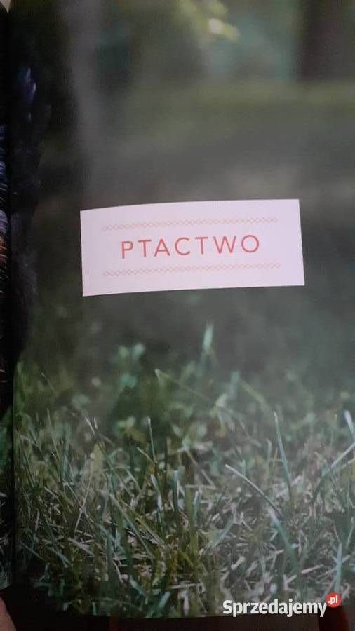 Kuchnia Polska na słono wg Karola Okrasy Szczecin