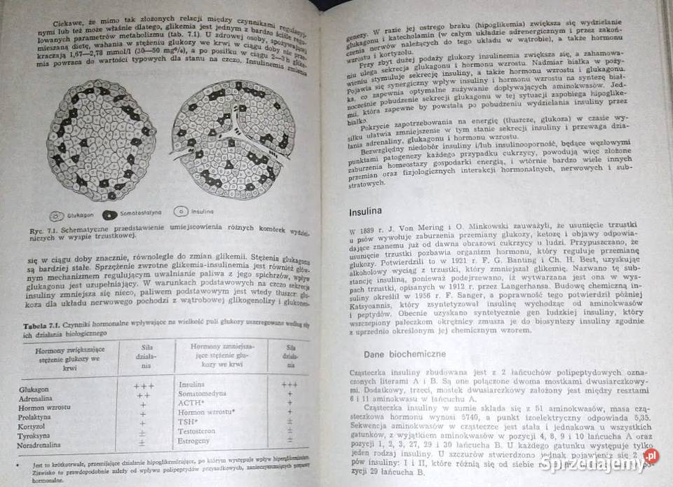 Diabetologia kliniczna Jan Tatoń Chełm sprzedam