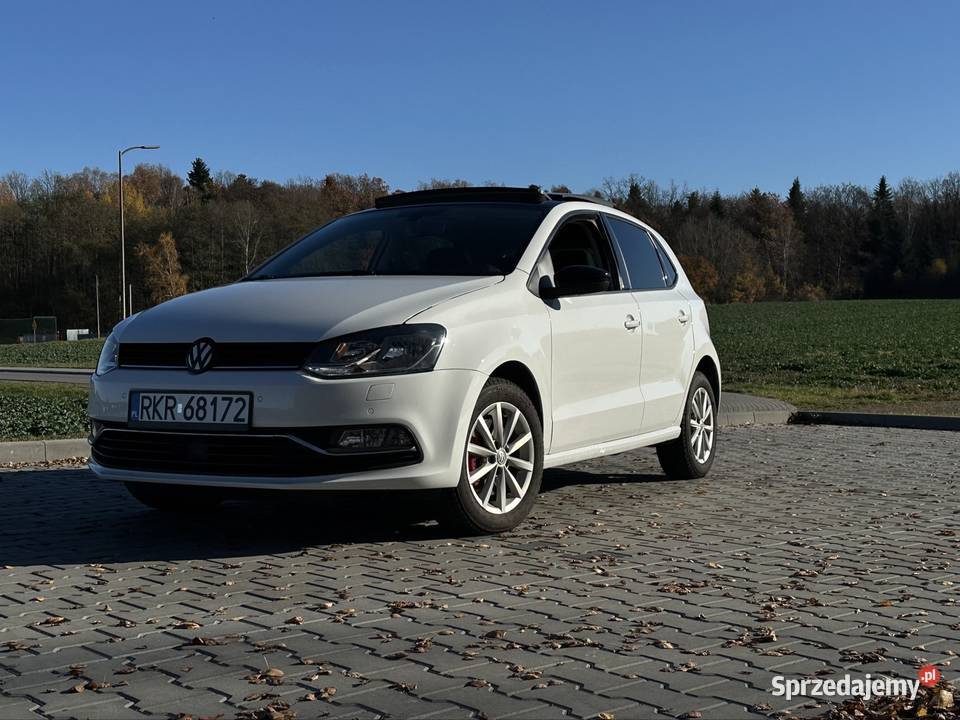 Volkswagen Polo V najbogatsze wyposażenie podkarpackie