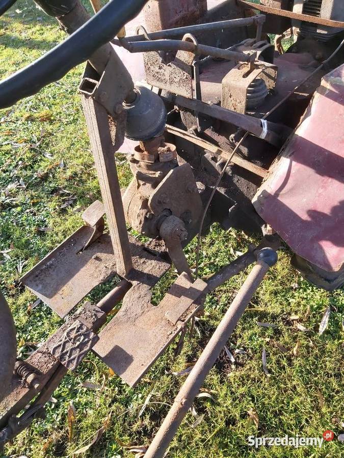 Ciagnik dzik 21 Jawiszowice