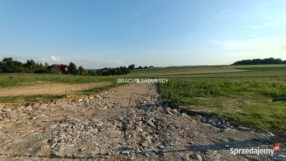 Działkę sprzedam 2503m2 Sieciechowice Długa