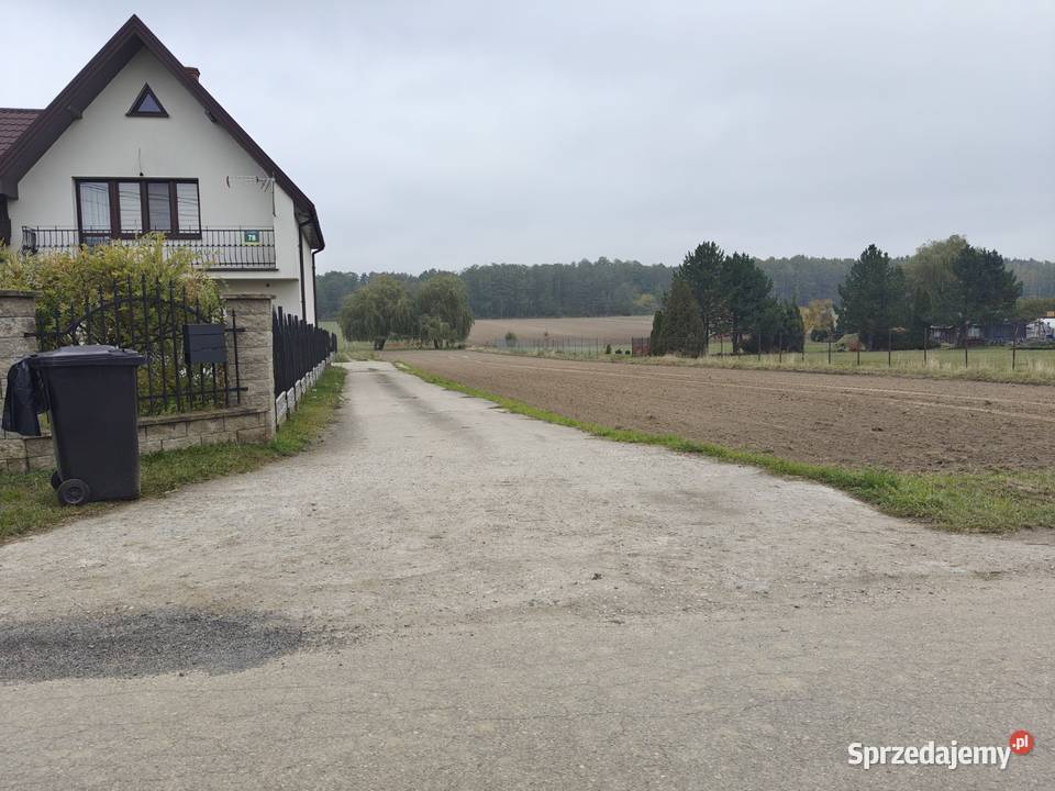 Syndyk sprzeda Kobierne