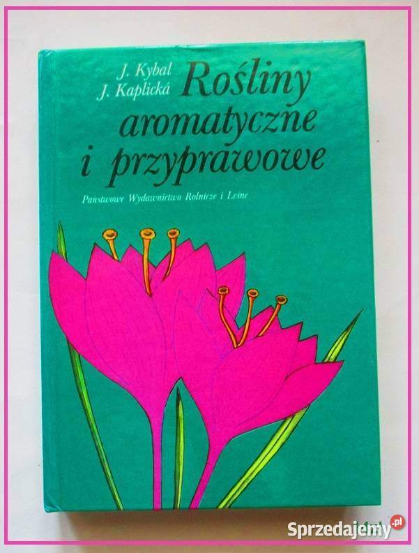 Kulinarne kuchnia potrawy czosnek galarety dania Łódź