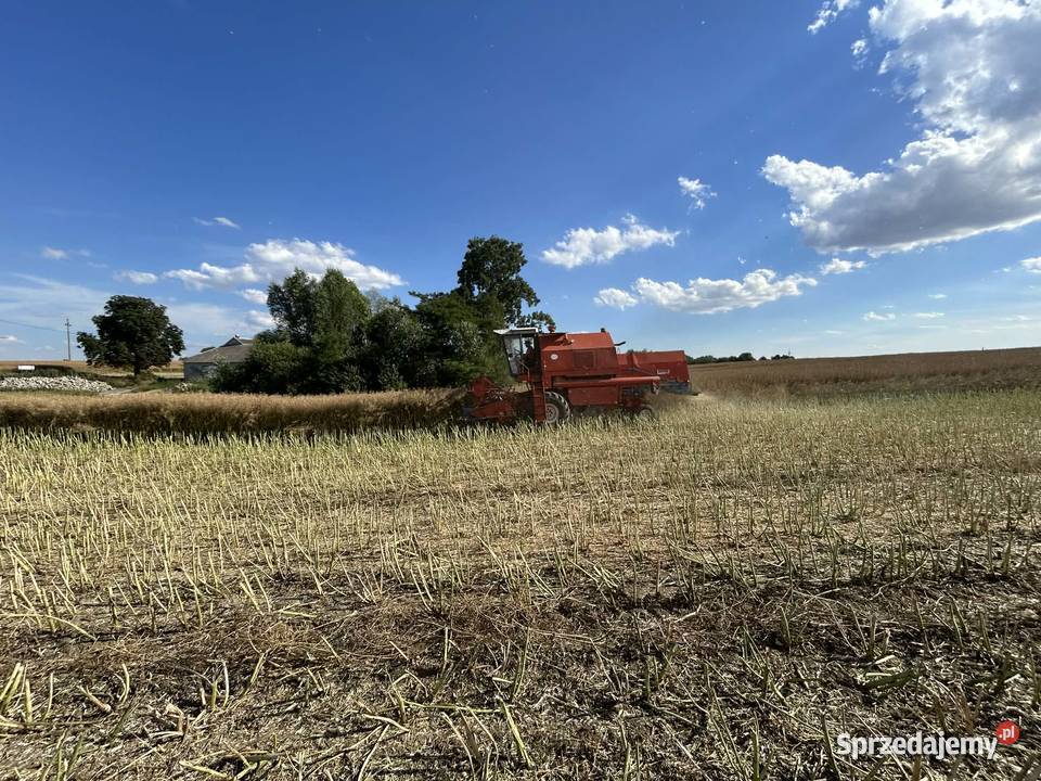bizon rekord z058 nieuszkodzony Piotrków Kujawski sprzedam