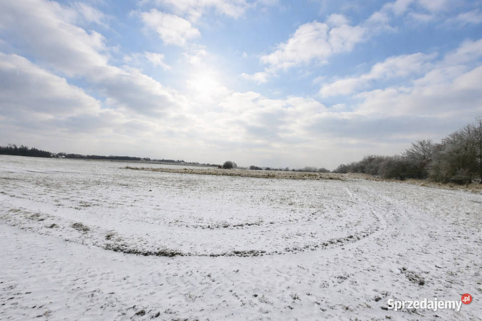 Działka pod hale magazynowo produkcyjną Smolęcin