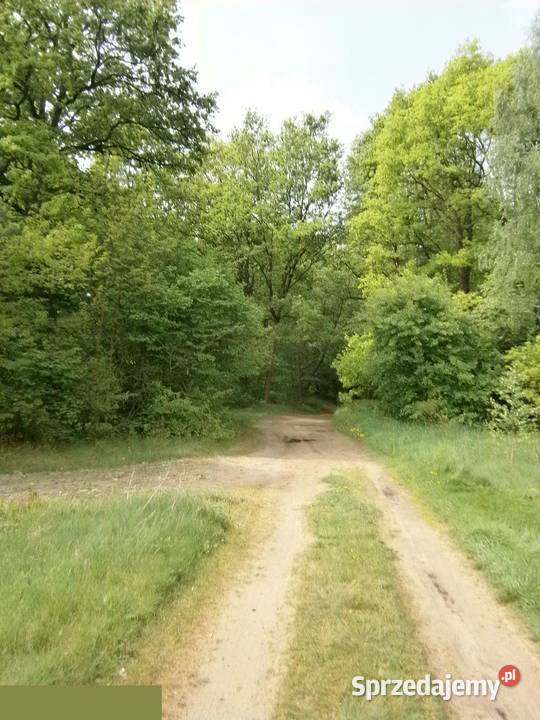 Piękna działka w pobliżu plaży Arciechów