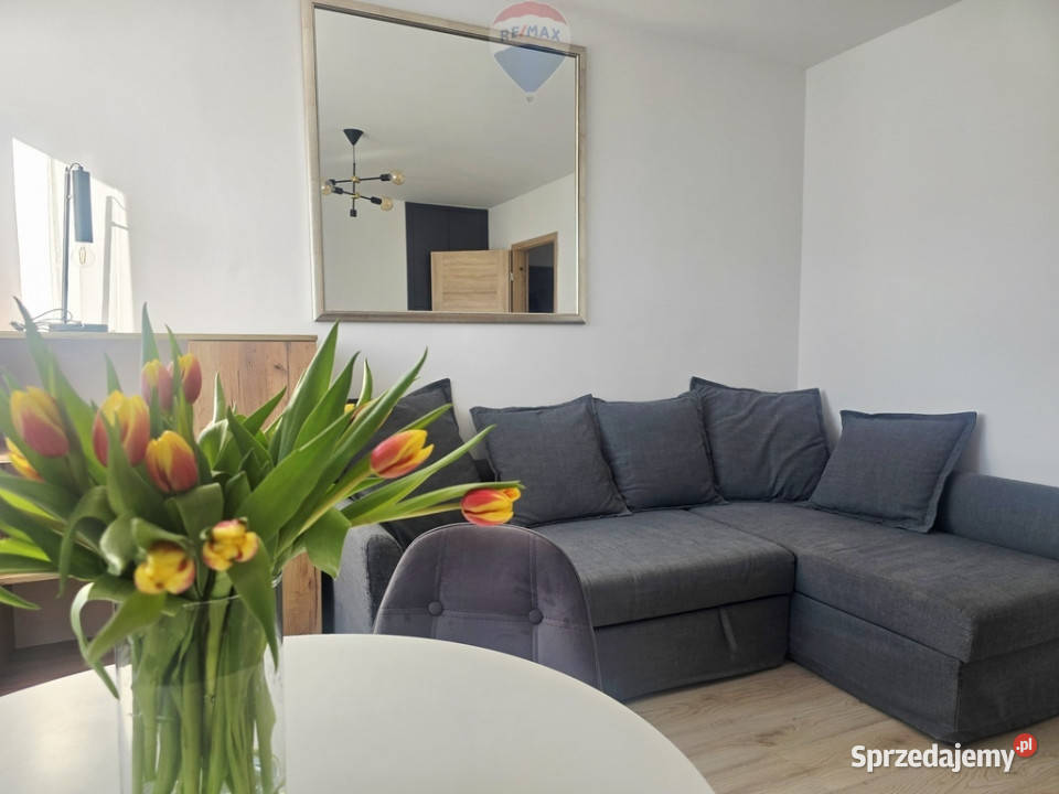 Na wynajem 2 pokoje Polna Jeżyce