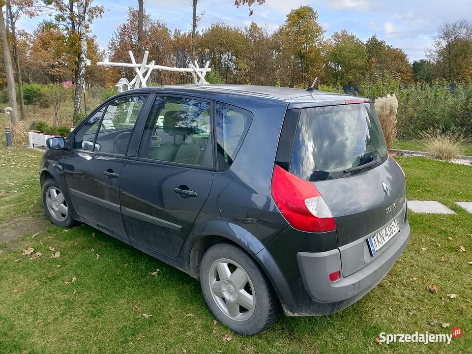 Renault scenic Końskie