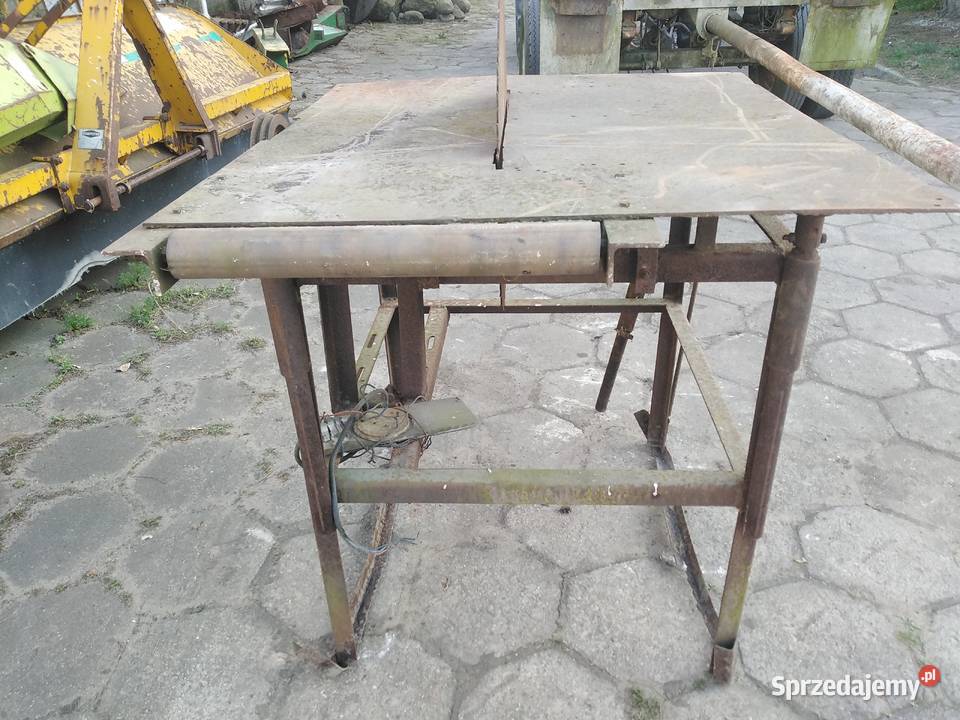 Krajzega kujawsko-pomorskie Strzelno