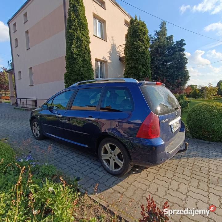 Peugeot 307sw 2004 Radom